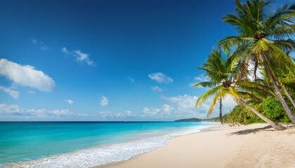 Obraz premium serene beach scene with swaying palm trees under a bright sky and turquoise ocean waves lapping at the shore