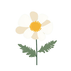 Minimalist Flower Illustrations