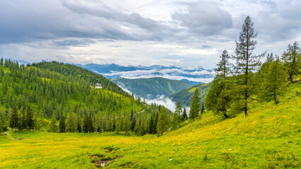 A tranquil moment in the Low Tauern mountains captures lush green hills, scattered pine trees, and a dramatic sky.