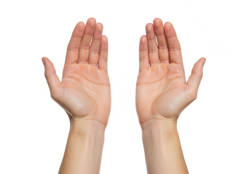 Two open hands with palms facing up are isolated on a white background, symbolizing offering and receiving