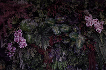 Mixed leaves, green leaves, abstract texture, tropical leaves, natural dark green background. PHOTO
