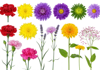 A colorful floral bouquet arrangement with various flowers isolated on transparent background