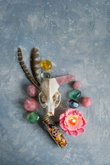 animal skull, burning flower candle, crystals, witch items on table close up. Magic, witchcraft, Crystal Ritual. esoteric spiritual practice for life balance, relax, harmony, love. top view