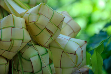 Close Up of Woven Palm Leaf Packets in a Natural Setting