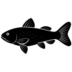 Coelacanth Fish Illustration on White