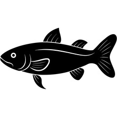 Coelacanth Fish Illustration on White