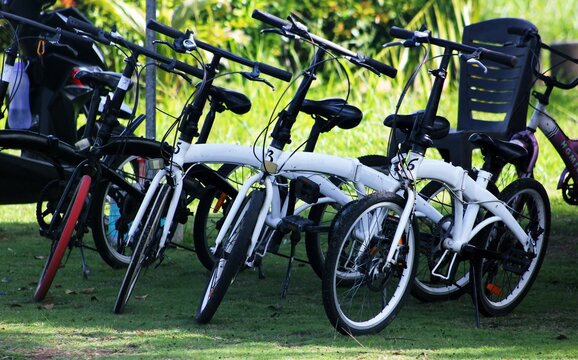 Folding Bikes on Display: Compact Urban Transportation - Powered by Adobe