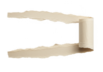 A torn beige paper with a rolled edge, isolated on transparent background, creating a textured frame