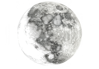 A detailed grayscale image of the moons surface with craters, isolated on a transparent background, showcasing its rocky texture isolated on transparent background