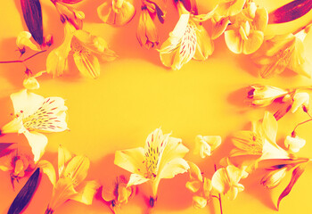 Bright alstroemeria flowers forming a decorative frame on a vivid yellow background in digital processing. Eye-catching floral layout. Copy space