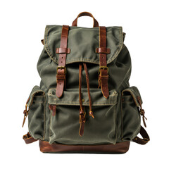 Vintage olive green canvas backpack with brown leather straps and brass buckles on a white background, Travel Gear.