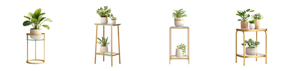 Modern Plant Stands with Potted Plants: Home Decor Collection