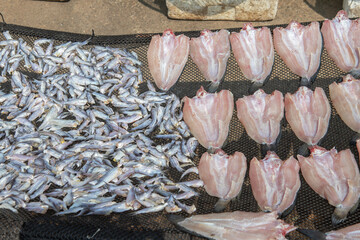 Fresh fishes dry under the sun on the net at local market.