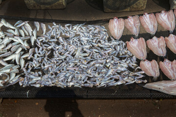 Fresh fishes dry under the sun on the net at local market.