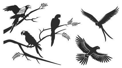 Obraz premium Bird & Parrot Silhouettes — Flying, Perched, Wings Spread, Cockatoo, Lovebirds & Parakeets for Tropical Decor & Logos