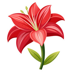 High-detail Amaryllis flower vector illustration in a flat, modern style