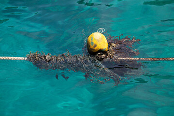 Yellow buoys are floating on the emerald ocean.