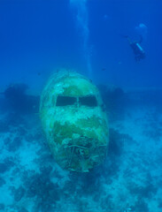 A diver exploring a sunken plane off the island of Aruba