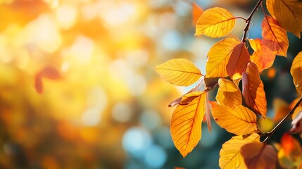 Vibrant autumn leaves in golden and orange hues glow against a soft, blurred background, capturing the warm essence of fall's transformative beauty and delicate seasonal transition.