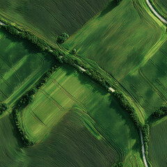 seamless vibrant green agricultural fields create textured landscape from aerial perspective, showcasing patterns formed by crops and natural borders. the rural setting enhances serene atmosphere