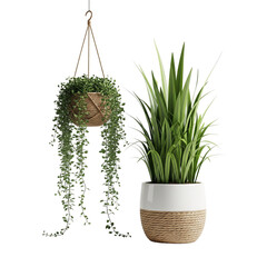 Hanging Grace & Upright Calm