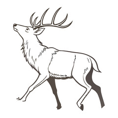 Deer Vector 