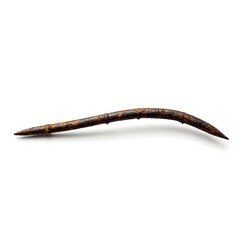 Single Rusty Bent Nail on White Background metal iron