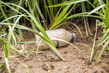 plastic pet bottle thrown into nature