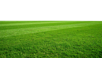 A close-up view of a lush green grass field with visible mowing lines under bright natural light.