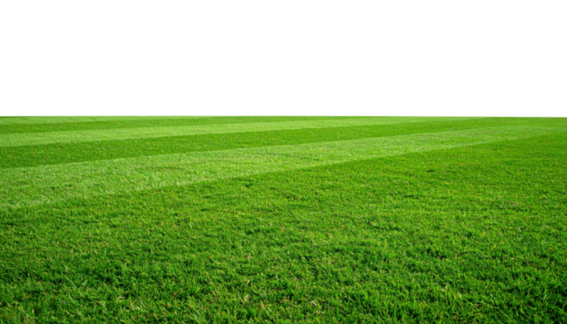 A close-up view of a lush green grass field with visible mowing lines under bright natural light.
