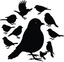 A collection of various bird silhouettes, a beautiful and minimalist vector illustration of different birds, perfect for nature, wildlife, ornithology, and decorative designs.