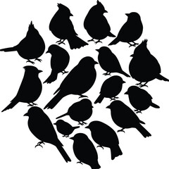 A collection of various bird silhouettes, a beautiful and minimalist vector illustration of different birds, perfect for nature, wildlife, ornithology, and decorative designs.