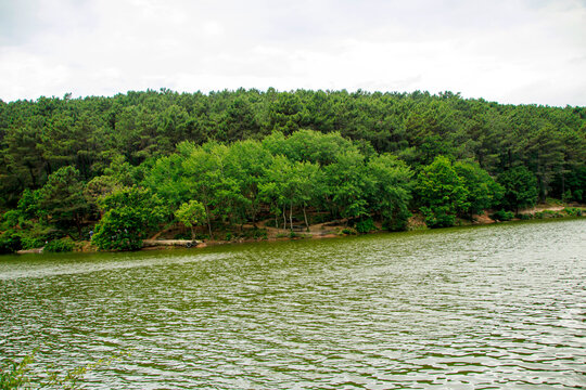 lake in the aydos forest in istanbul