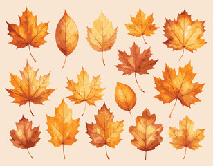 Autumn Leaves Collection – Watercolor Vector Set