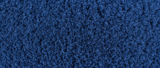 Blue carpet texture