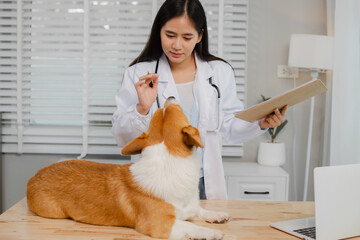 Smiling and friendly Asian female veterinarian examining dog with stethoscope and taking notes on clipboard in clinic. Veterinarian concept.