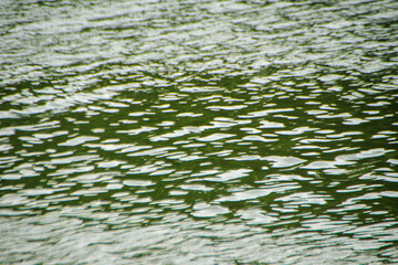 green color reflection of forest on the water surface