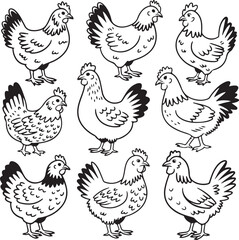 Hand Drawn Chicken Doodle Vector Set with Fun Poses and Feather Styles on White Background
