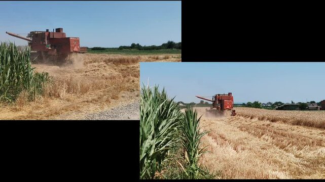 combine harvester working in a field