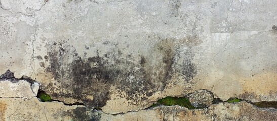 Cracked Wall Texture with Moss and Dirt Patches