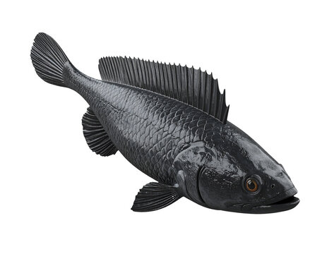 highly realistic 3d rendering of snakehead fish sculpture isolated on black background
