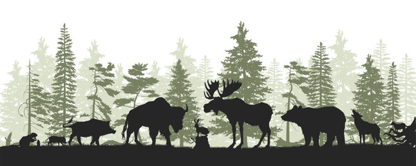 Forest landscape silhouette. Wildlife drawing with north american animals. Travel scene with elk, boar and bear. European natural panorama