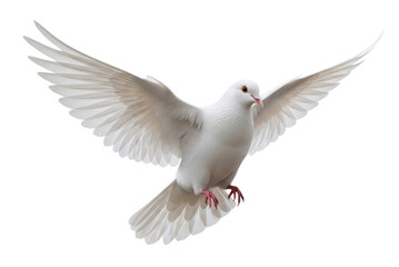 Obraz premium White dove soaring gracefully with wings spread wide, cutout isolated on transparent background, cutout png