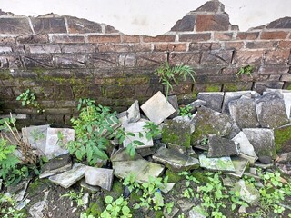 Old Cracked Tiles Scattered by Mossy Wall