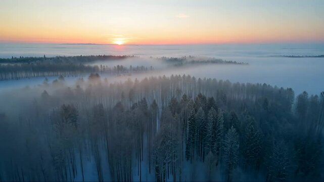 A drone shot of a foggy forest in winter. Aerial view of endless taiga landscape covered with pines and other coniferous trees. Frozen steam and fog rising above snowy place.