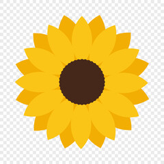 Colorful sunflower vector icon in flat style