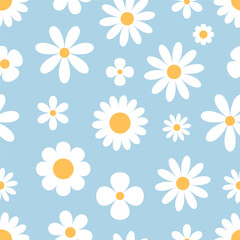 Daisy seamless pattern. Floral vector background