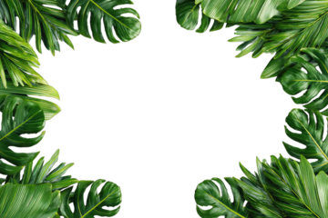Tropical leaves frame a black background. Lush green leaves of various shapes and sizes form a border around a central dark space