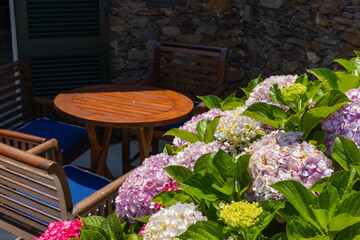 Beautiful hydrangea flowers on the terrace of a restaurant