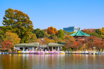 東京都 紅葉の上野公園、不忍池